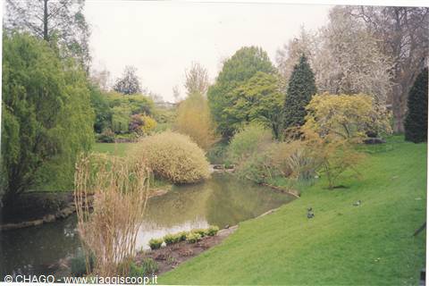 Giardino in inglese